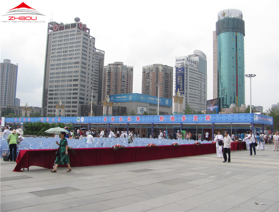 2012年贵阳中医药（民族药）博览会 (3).jpg