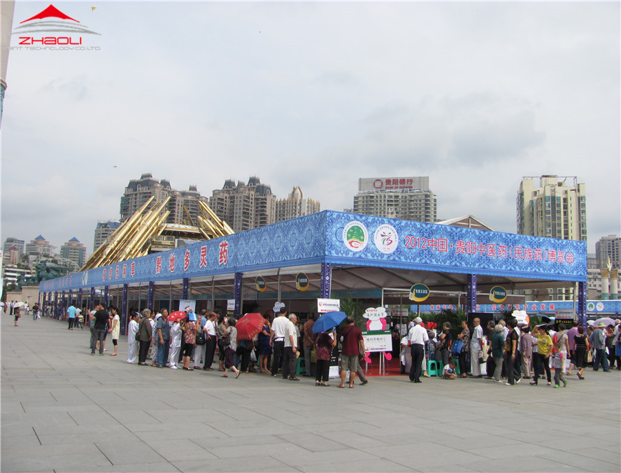 2012年贵阳中医药（民族药）博览会 (4).jpg